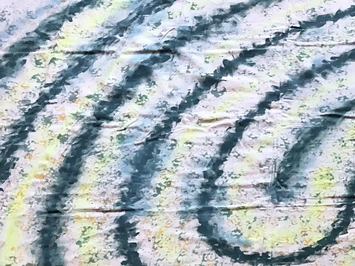 12 ft. Yellow/Green 5-Circuit Classic Labyrinth