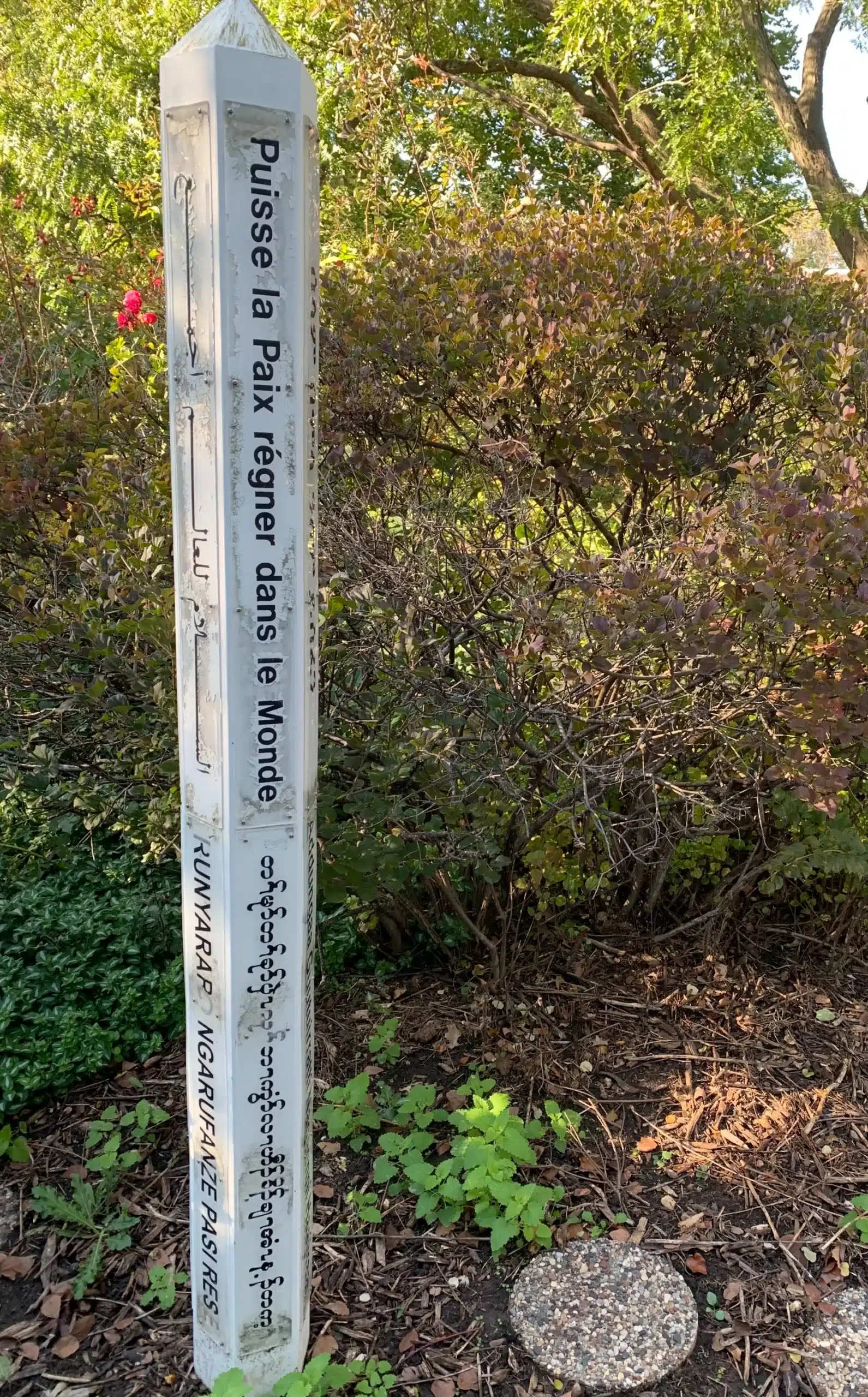 Sign in front of Sarah's yard